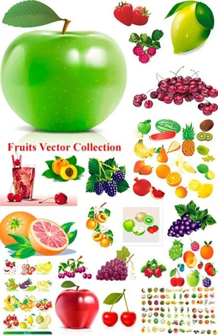Descarga gratis frutas vectorizadas y diseña con la naturaleza ...