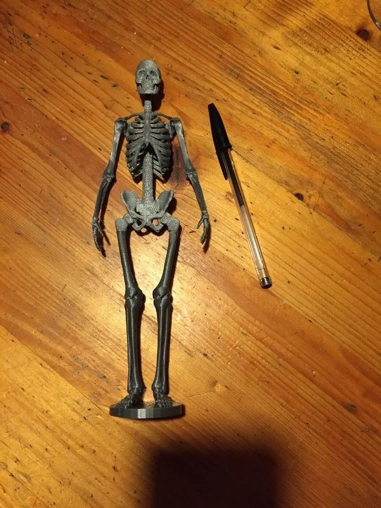 Descargar archivo STL gratis Esqueleto humano・Modelo para la impresora 3D ・Cults