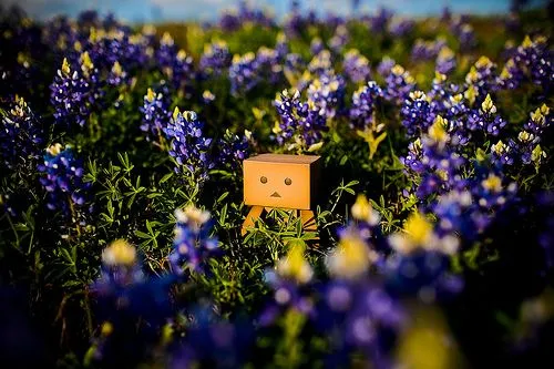 descargar tu propio Danbo AQUÍ /You can download yor own Danbo ... descargar tu propio Danbo AQUÍ /You can download yor own Danbo ...