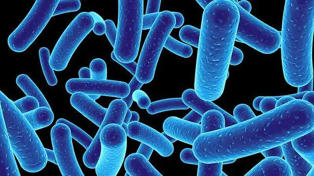 Descubren 200 microbios desconocidos que conviven con nosotros ... Descubren 200 microbios desconocidos que conviven con nosotros ...