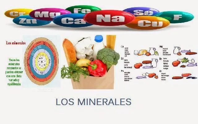 Develando la Salud: Los Minerales