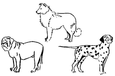 COLORIR DESENHOS: Desenho de animais para colorir, desenho de ...