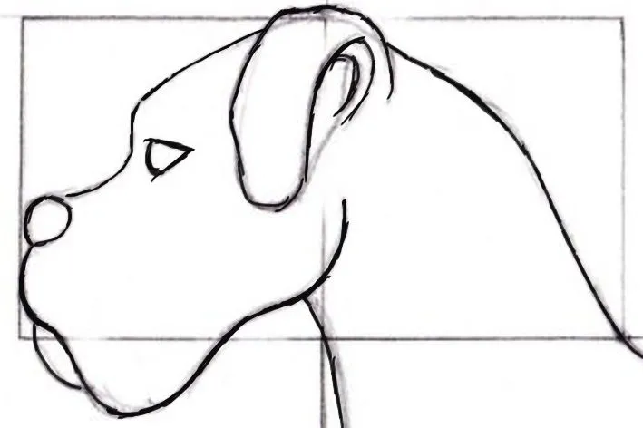 Desenho Artístico: Desenhar Animais