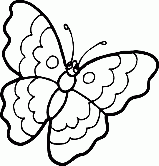 Desenho de borboletas - Imagui