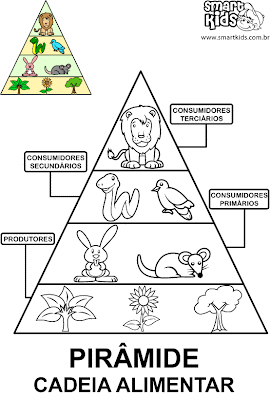 Desenhos Cadeia Alimentar Imprimir e Colorir - Mundinho da Criança ... Desenhos Cadeia Alimentar Imprimir e Colorir - Mundinho da Criança ...