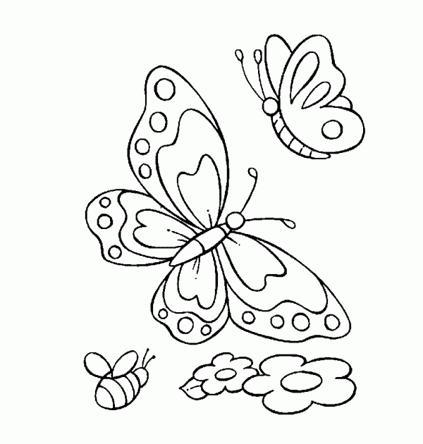 Desenhos para colorir borboletinha - Imagui