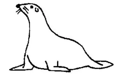 Desenhos para colorir de foca, lontra e outros animais - Rei dos anime