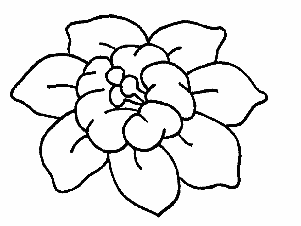 DESENHOS DE FLORES PARA IMPRIMIR E COLORIR | coisas pra ver DESENHOS DE FLORES PARA IMPRIMIR E COLORIR | coisas pra ver