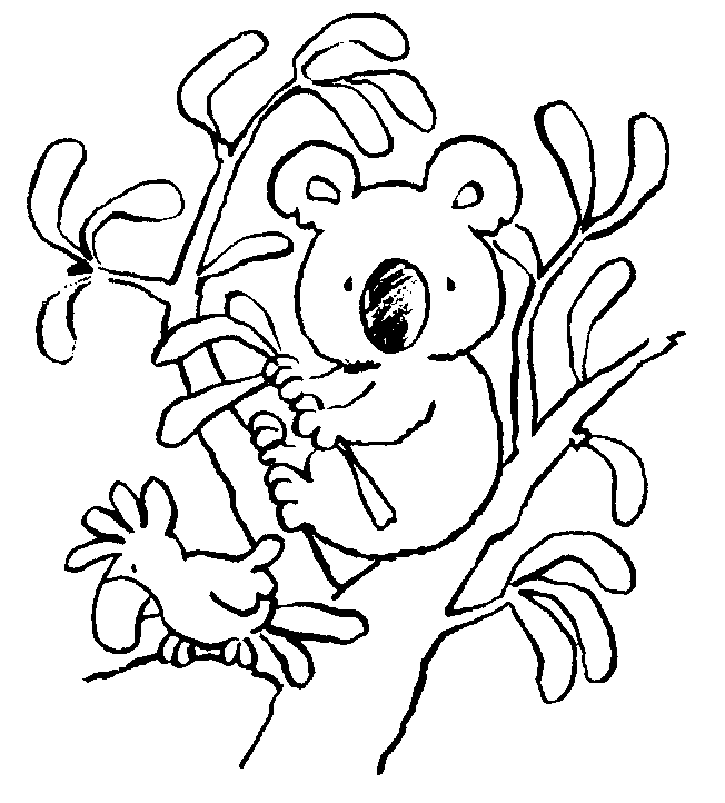 Desenhos de Koalas para Imprimir e Colorir