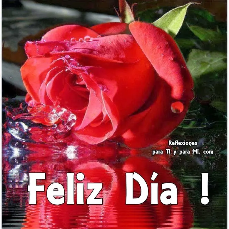 Buenos Deseos para TI y para MÍ: * Feliz Día ! (Rosa roja) Buenos Deseos para TI y para MÍ: * Feliz Día ! (Rosa roja)