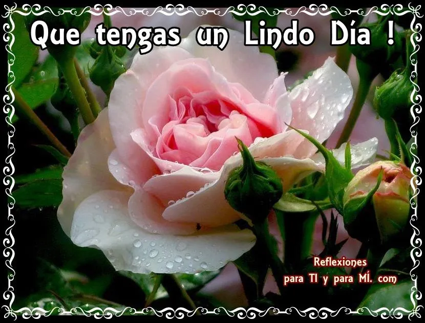 Buenos Deseos para TI y para MÍ: * Que tengas un Lindo Día ! Buenos Deseos para TI y para MÍ: * Que tengas un Lindo Día !
