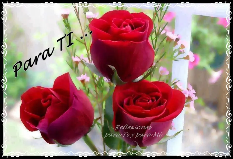 Buenos Deseos para TI y para MÍ: * Trío de ROSAS ROJAS Para TI.... Buenos Deseos para TI y para MÍ: * Trío de ROSAS ROJAS Para TI....