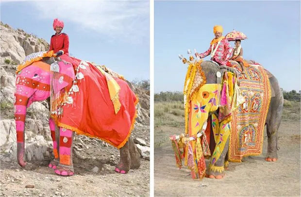 Desfile de elefantes pintados: las mejores fotos del Festival del ...