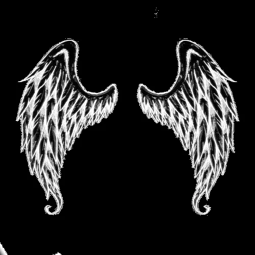Alas de Angel(png) by GirlSwag on DeviantArt Alas de Angel(png) by GirlSwag on DeviantArt