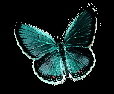 deviantART: More Like Gracias por unirte Texto png by deviantART: More Like Gracias por unirte Texto png by