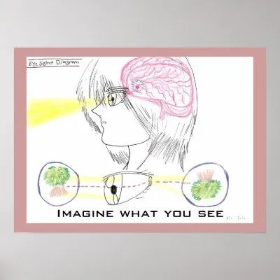 Diagrama de la vista del ojo del Dibujo-Estilo del Poster de Zazzle.