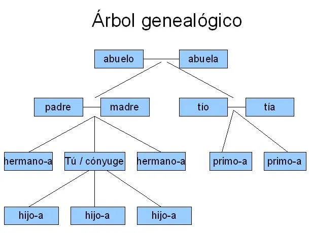 Ejemplos de árbol genealógico en inglés - Imagui