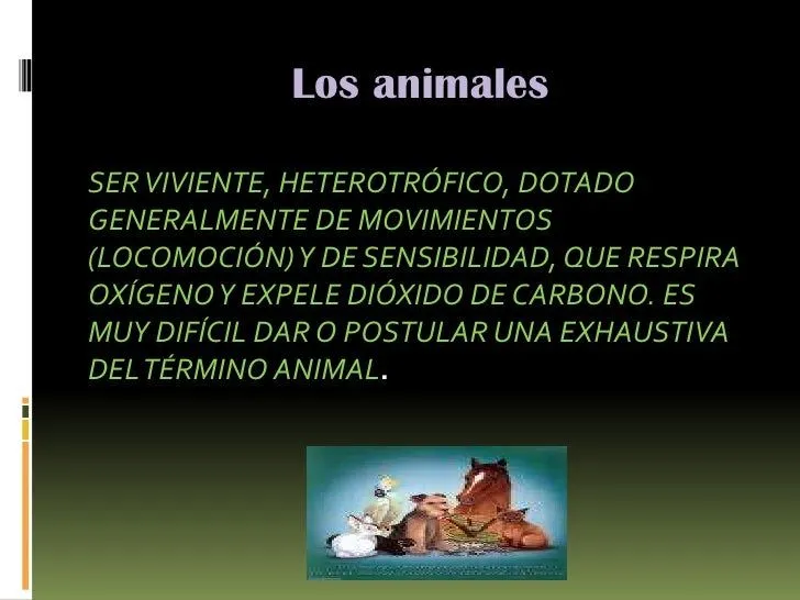 Diapositivas de los animales