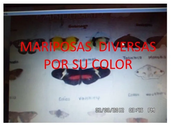 diapositivas-mariposas-2-728. ...