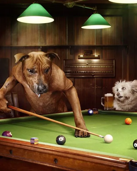 Caricaturas de perros jugando pool - Imagui