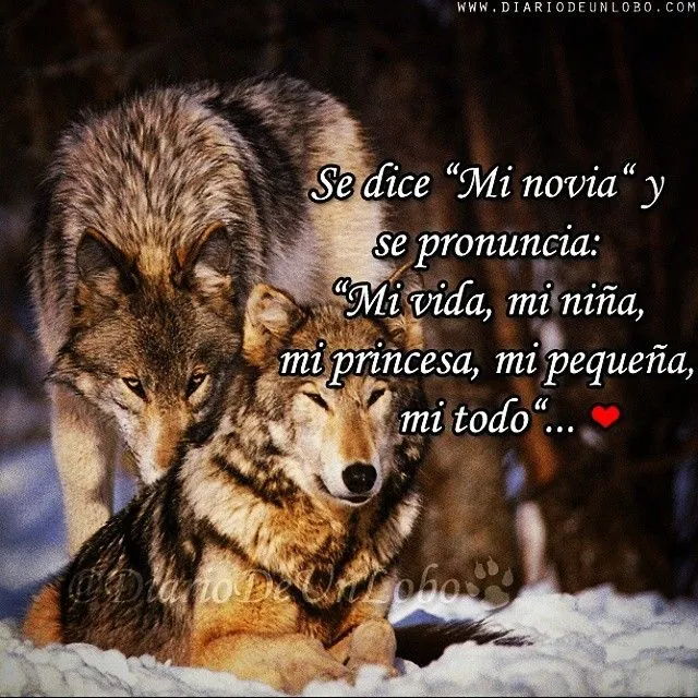 Diario de un Lobo — ❤ #Sentimiento #DiarioDeUnLobo #Frase...