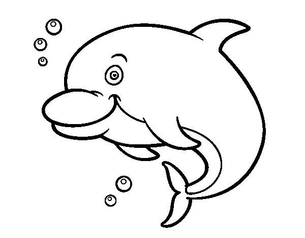 Dibuix de Dofí de l'Amazones per Pintar on-line - Dibuixos.cat