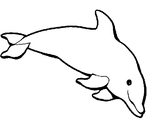 Dibuix dofins - Imagui