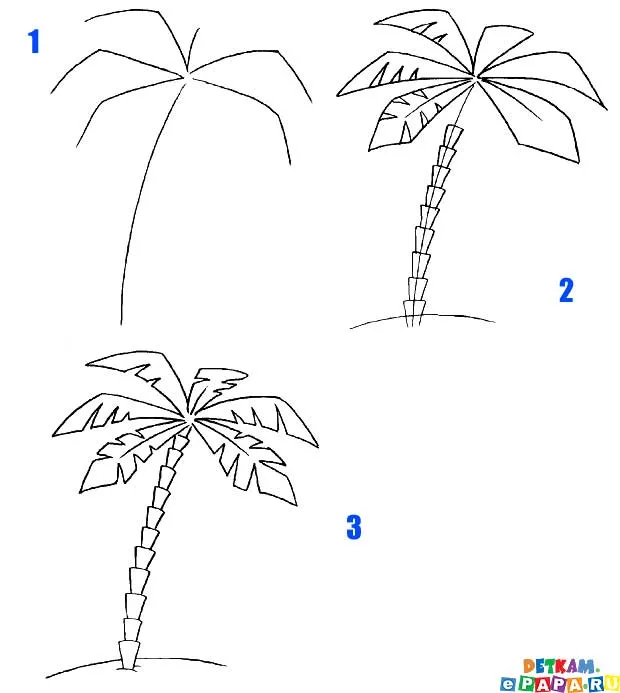 Dibuja un árbol de palma Cómo dibujar árboles. Aprender a dibujar