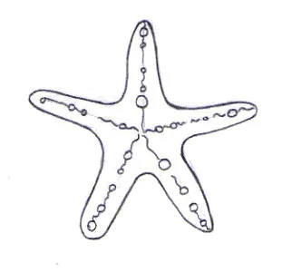 Este es el dibujo de estrella de mar es de Eva ... ¡Envianos el tuyo ...
