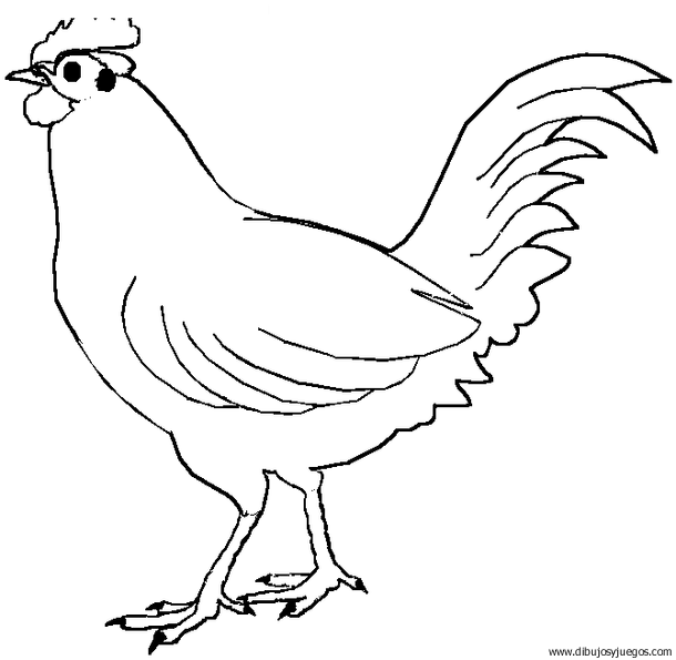 dibujo-de-gallo-046 | Dibujos y juegos, para pintar y colorear dibujo-de-gallo-046 | Dibujos y juegos, para pintar y colorear