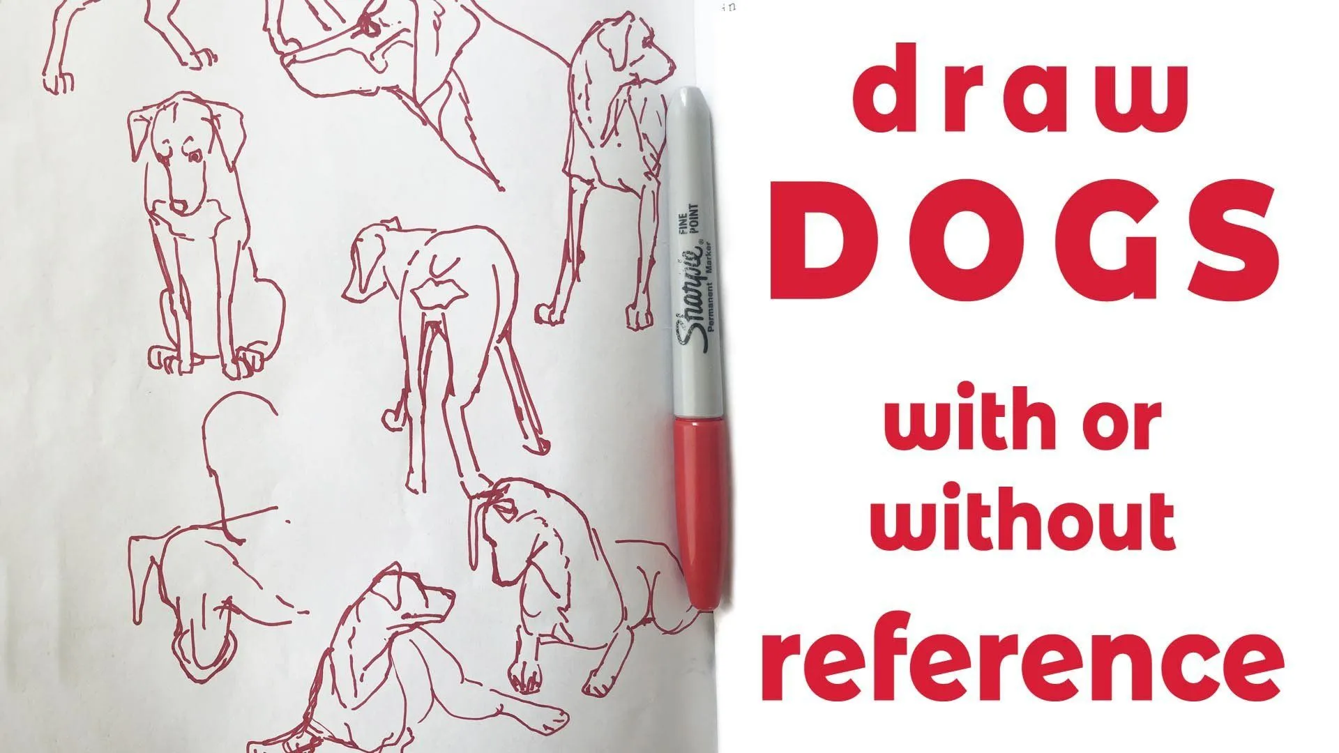 Dibuja perros (o cualquier cosa) con o sin referencia | Steve Worthington |  Skillshare