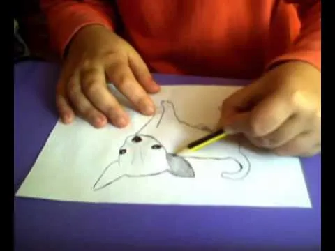 Dibujando un cachorro chihuahua (Grafito) - YouTube