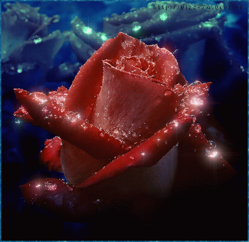 Imagenes de rosas con brillitos - Imagui