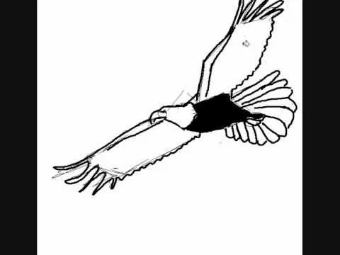 Cómo dibujar un águila - How to draw an eagle - YouTube