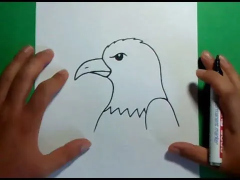 Como dibujar un aguila paso a paso 3 | How to draw an eagle 3 ...