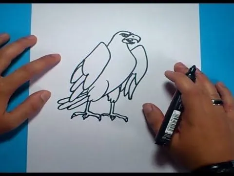 Como dibujar un aguila paso a paso 2 | How to draw an eagle 2 ...
