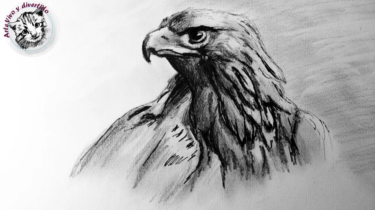 Como Dibujar un Aguila Realista Paso a Paso | tecnicas de dibujo ... Como Dibujar un Aguila Realista Paso a Paso | tecnicas de dibujo ...