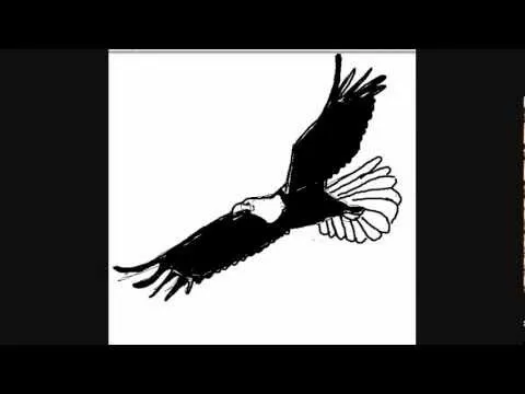 Dibujar águilas - Dibujos para Pintar - YouTube