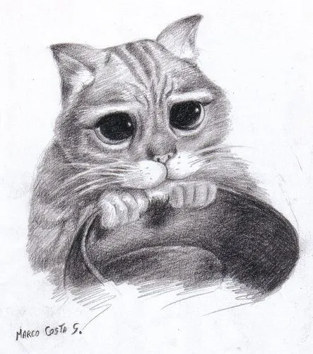 Dibujar gatos a carboncillo - Imagui