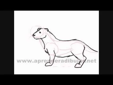 Como dibujar animales sencillos paso a paso - YouTube