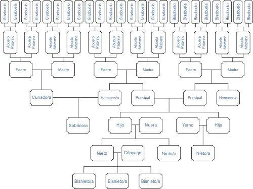 Como dibujar el árbol genealógico de la familia