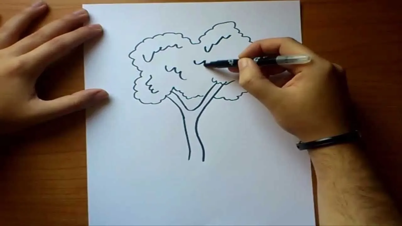 Como dibujar un arbol paso a paso | How to draw a tree - YouTube