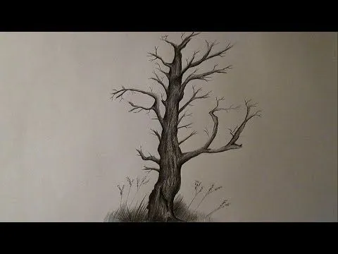 Cómo dibujar un árbol seco y sin hojas, árbol a lápiz HD - YouTube