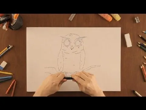 Cómo dibujar un Búho : Dibujos de la Naturaleza - YouTube