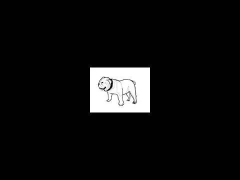 Como dibujar un Bulldog Inglés - Dibujos de perros - YouTube