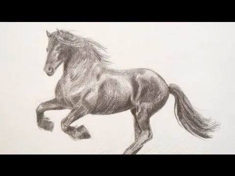 Cómo dibujar un caballo - Arte Divierte - YouTube