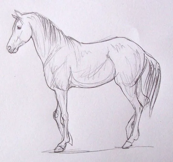 Dibujo de un caballo facil - Imagui