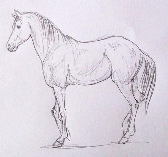 Cómo dibujar un caballo: Aprende de forma fácil y sencilla a ... Cómo dibujar un caballo: Aprende de forma fácil y sencilla a ...