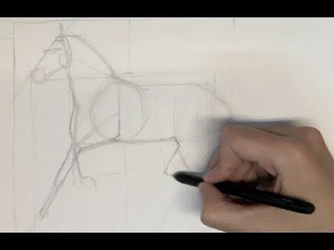 Cómo dibujar un caballo realista - Parte 1 - YouTube