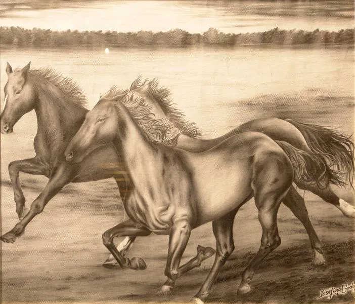 Dibujos de caballos salvajes a lapiz - Imagui